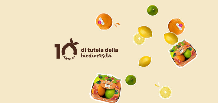 10 anni di tutela della biodiversità