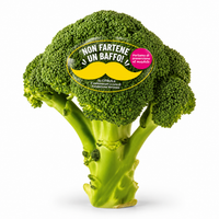 BROCCOLO
