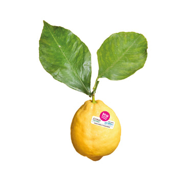 LIMONI FOGLIA