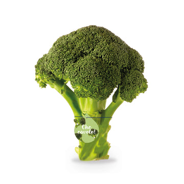 BROCCOLO