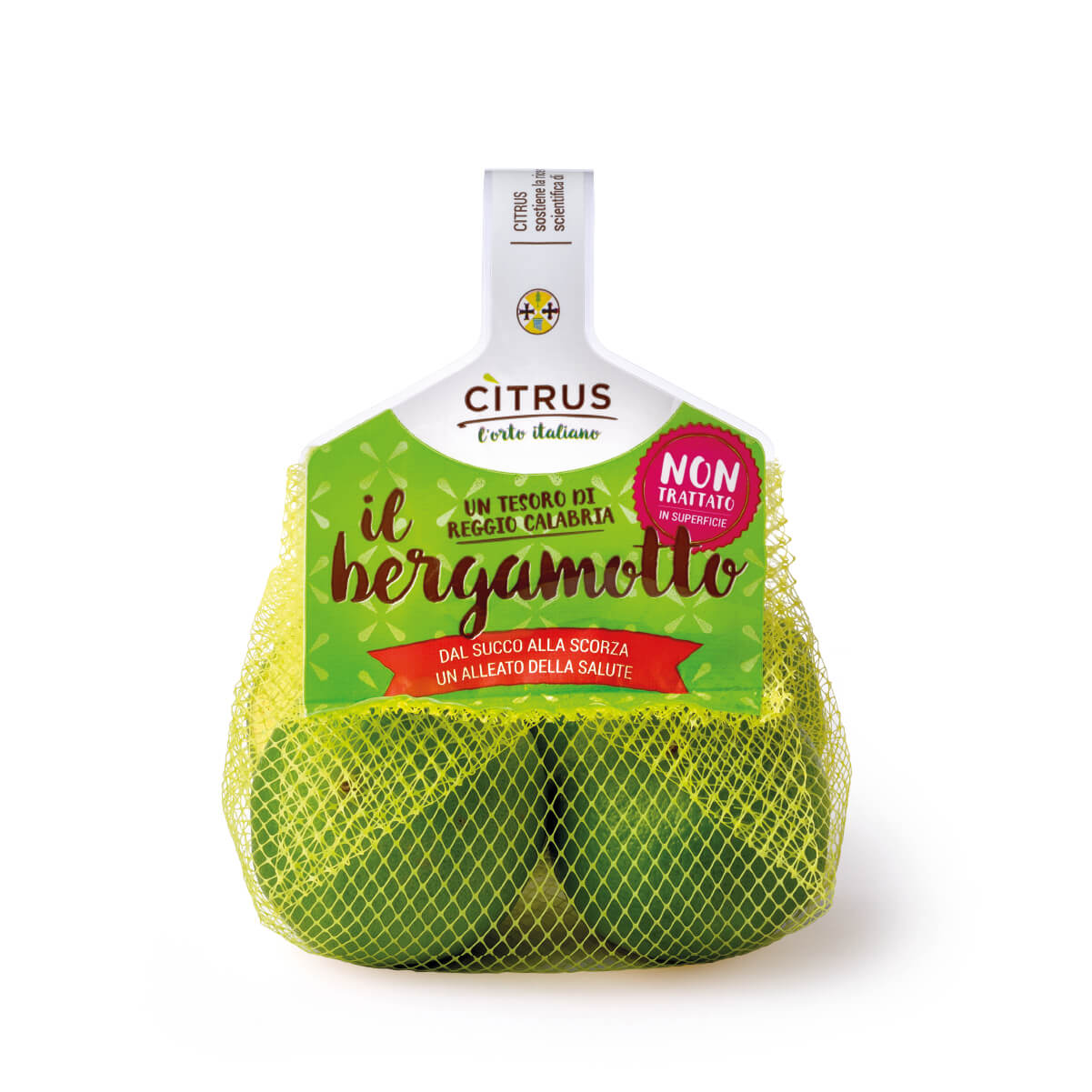 BERGAMOTTO